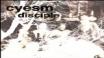 Перевод слов исполнителя Brandon Rhyder песни — You Like Me Again с английского на русский